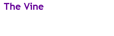 Text Box:  The Vine
