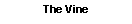 Text Box: The Vine